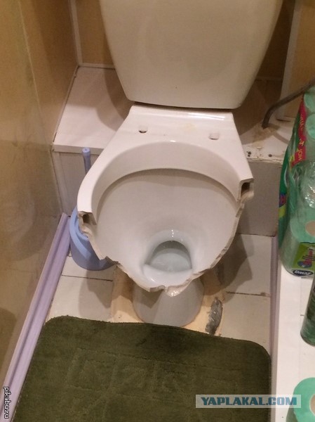 Куда закручивается вода у Вас дома? Миф или реальность?
