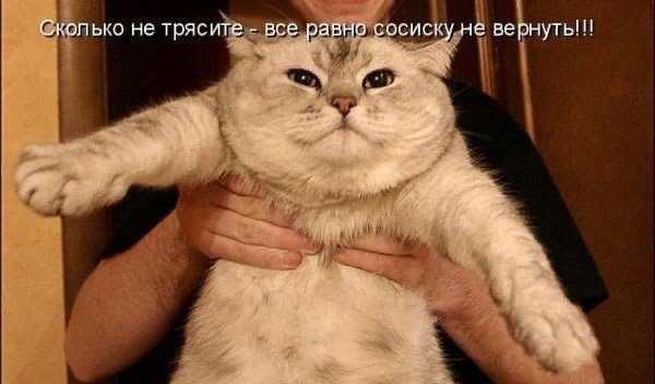 Подборка интересных и веселых картинок