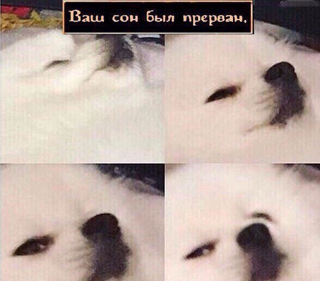 Подборка интересных и веселых картинок