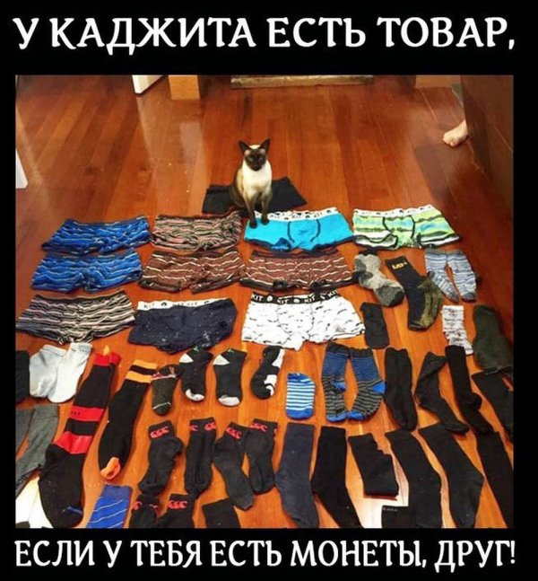 Околоигровой юмор