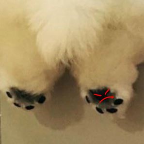 30 снимков, которые помогут улыбнуться даже в самый ненастный день