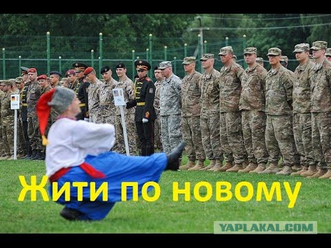 Дагестанцы устроили беспредел во время взлета борта Минводы - Анталия