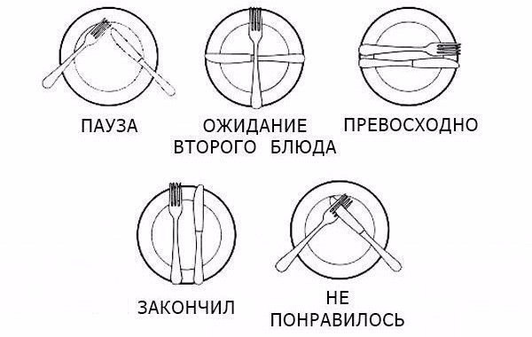 Всякие разные жизненные шпаргалки и таблицы