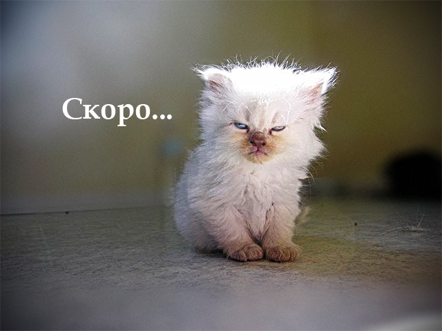 Ты! Да, ты... Ты ему не нравишься!