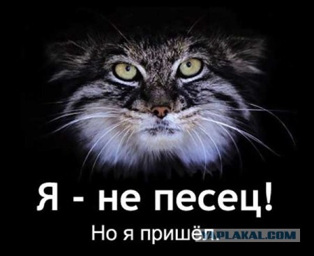 Музыкант Гарик Сукачев провел недельный запой