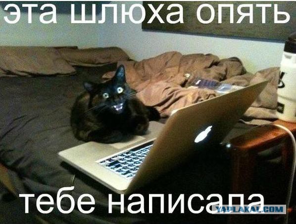 Счастлив. Почему? Потому что тебя рядом нет!