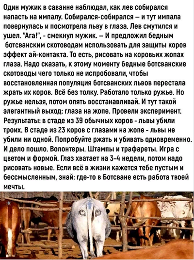 Просто юмор №30