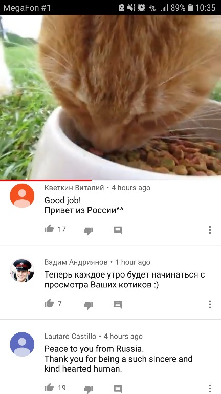 За 9 лет японец снял более 20 тысяч видео с котиками