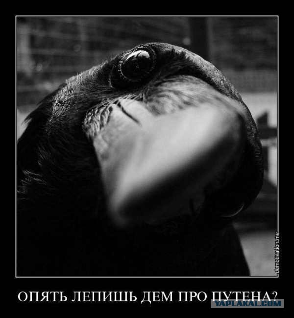 СК предупредил об ответственности за провокации на митинге в Москве