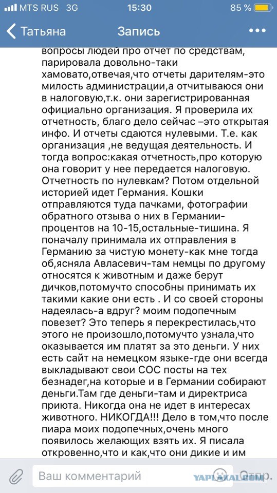 Помогите вернуть кота! Приют "Преданное сердце" украл кота и не отдает!