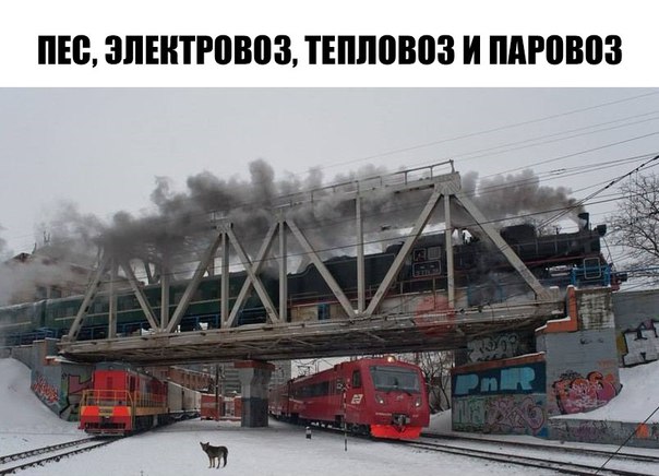 Немного картинок для настроения 11.02.20