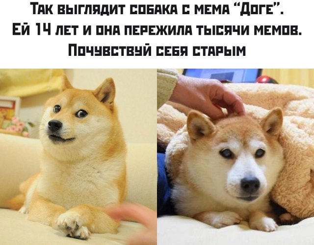 Бредзона 26.02.2020