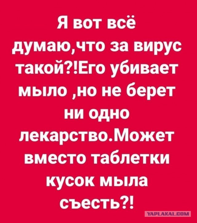 Немного картинок для настроения 23.04.20
