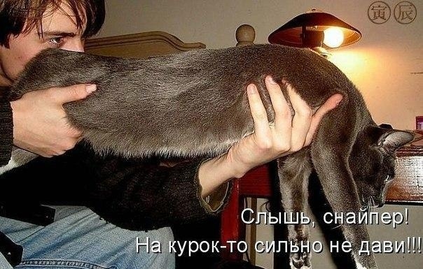 Так себе картинки 10.06.20
