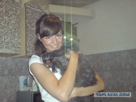 Фотожаба: Кот отакует!