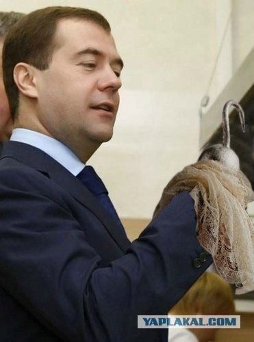 Президент тоже любит чипсы