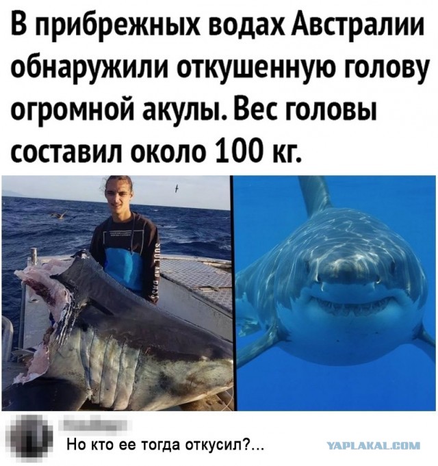 Чуток картинок 27.07.20