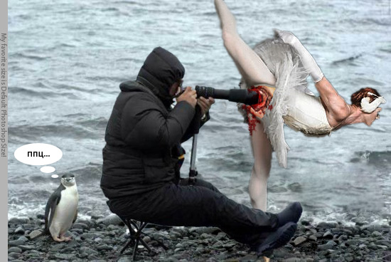Внимательный фотограф