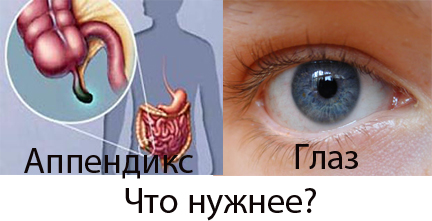 Фотожаберы откликнитесь: техника безопасности