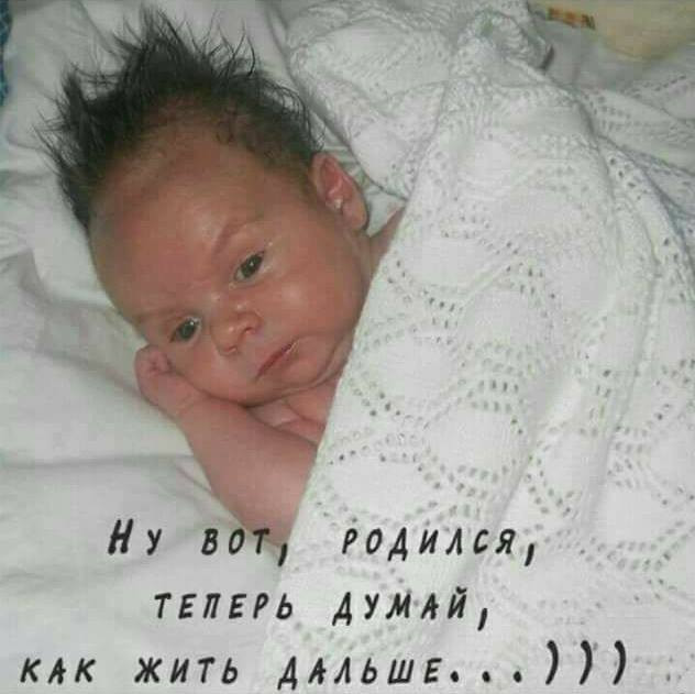 Рецепт для Апельсинии