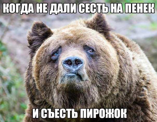 Бредзона 15.12.20