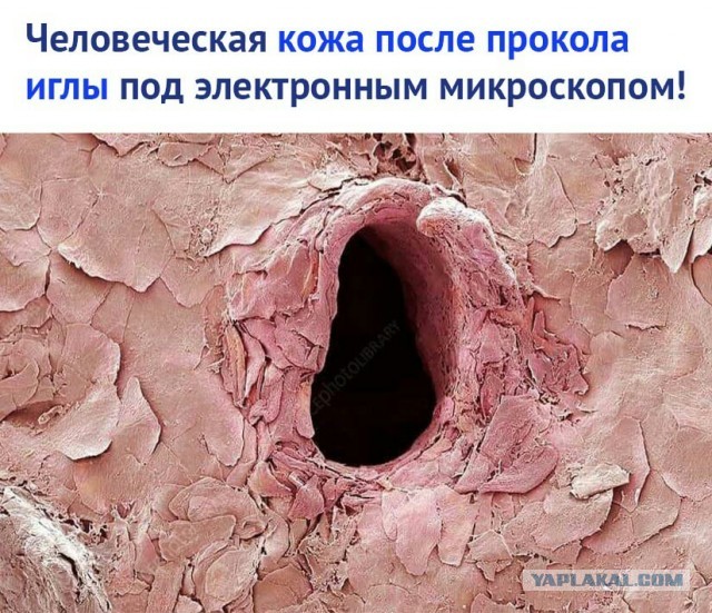 Всякая всячина 29.12.2020