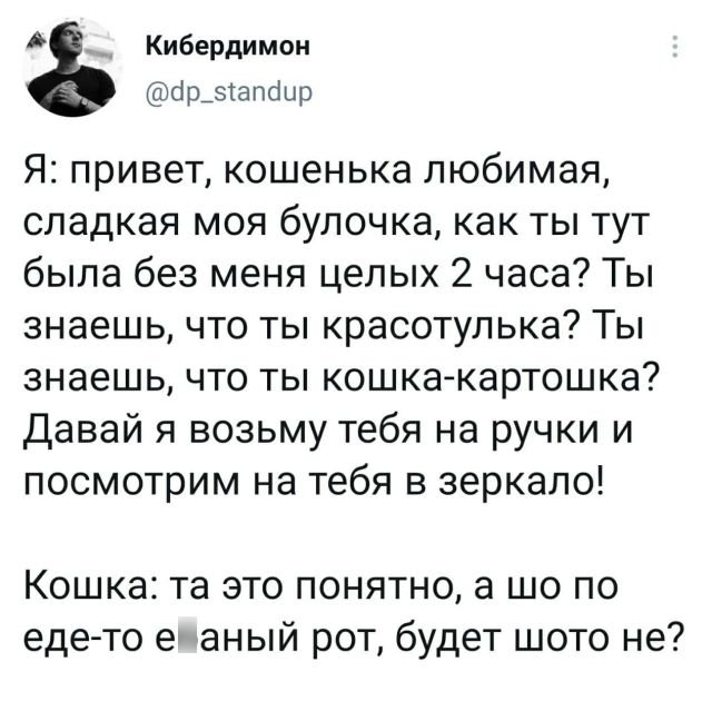 Картинки и мемы для настроения 015