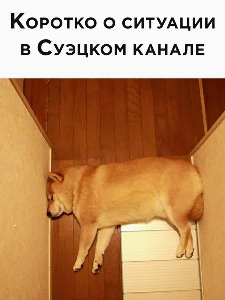 Картинки и мемы для настроения 30.03.2021