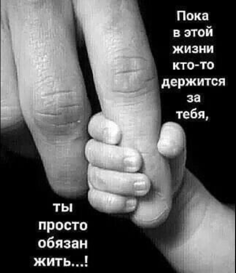 Так себе картинки 14.08.21