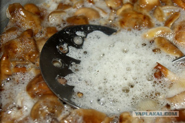 Осень в банках