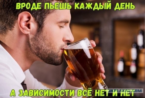 Пятничные алкорифмы с картинками