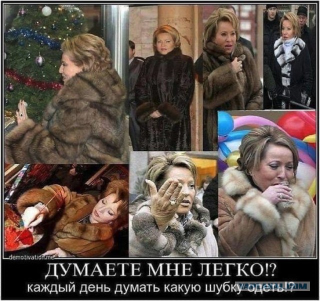 Серая шейка