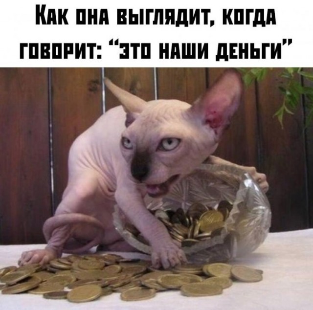 Подеградируем, побаяним... ч.2