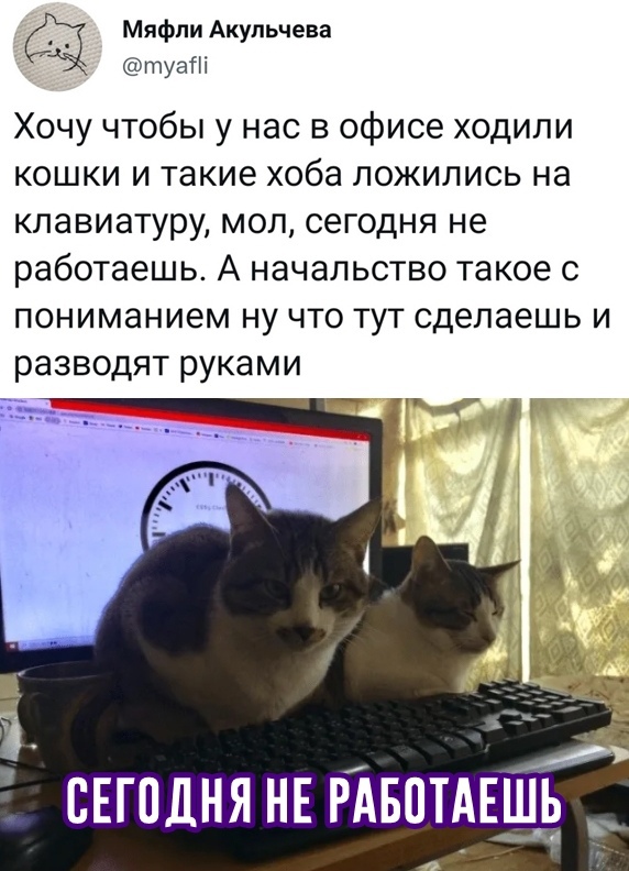 Картинки и мемы, всем прекрасных выходных