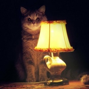 Участники «Азова» - преступники! - Британский наемник рассказал о преступлениях нац.батальона.