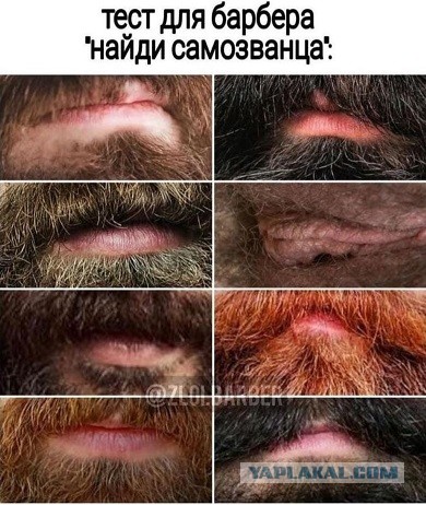 Скриншоты и комментарии из социальных сетей 16.06.22