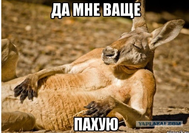 ЦБ готовится к отмене биржевых торгов долларом