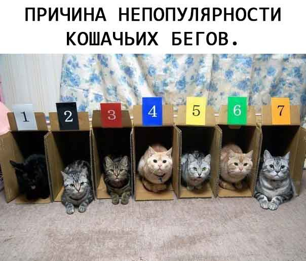 Немного картинок для настроения - 105