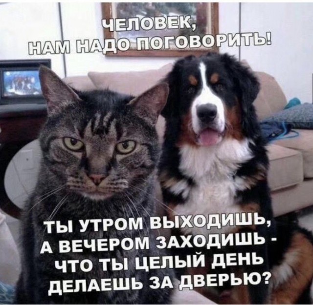 Немного картинок для настроения - 112