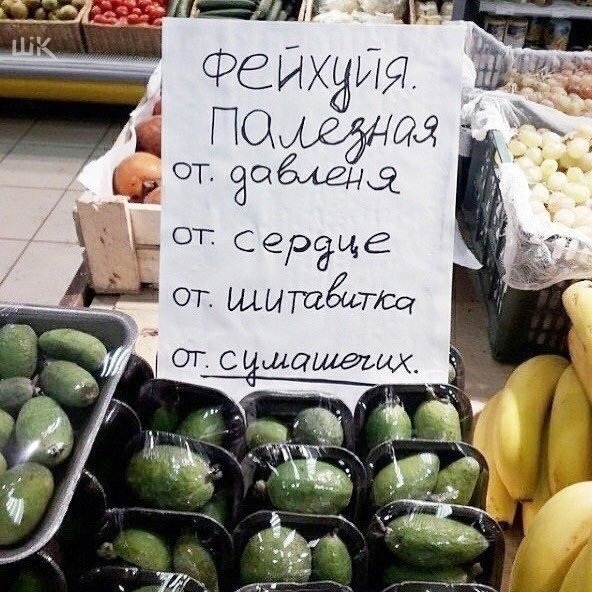 Короткие истории и случаи из жизни: 22.01.23