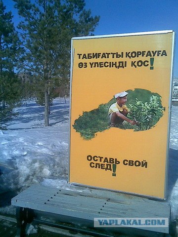 Приколы из Казахстана