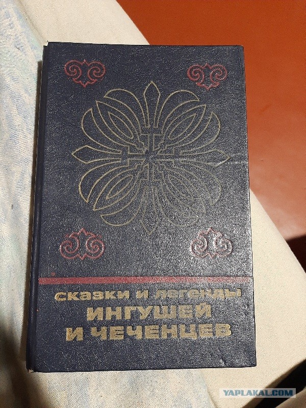 Кадыров призвал наказывать родственников убийц полицейских и туристов