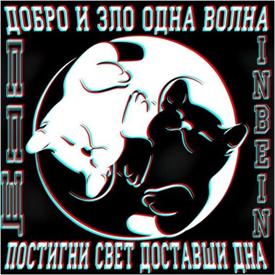 Прикольные и просто красивые картинки 12.01.2024