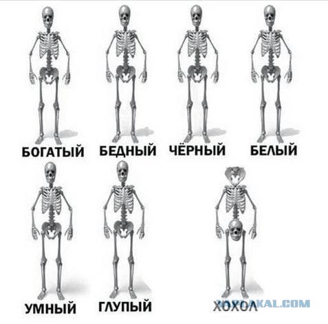 Странные картинки без подписи