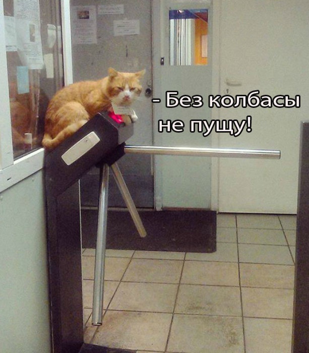 Так себе картинки 13.04.24