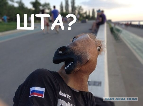 Альтушка нашла своего скуфа и не может поверить в своё счастье