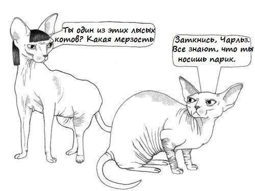 Завалялось тут случайно немного забавных картинок