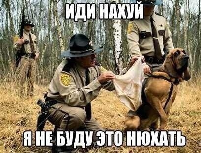 Веселые картинки к пятнице (23.08)