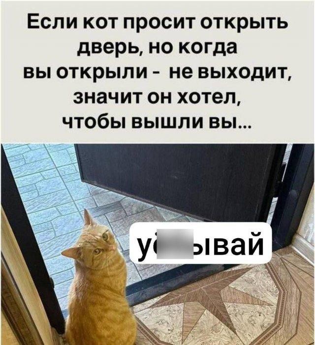 Немного картинок в пятницу