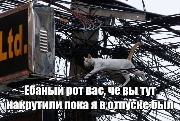 - Давайте я вам переведу